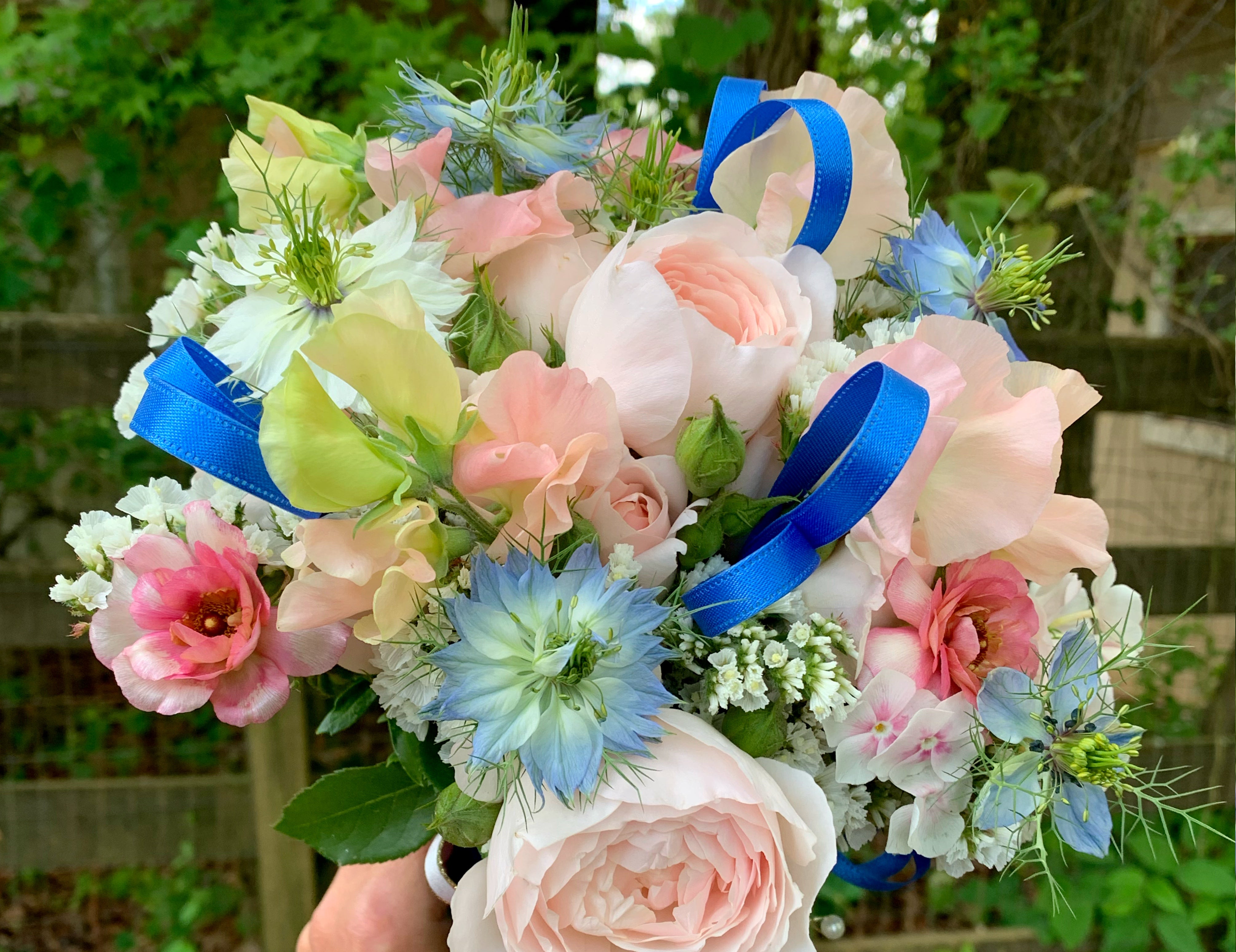 Love-in-A-Mist (white & blue mix)