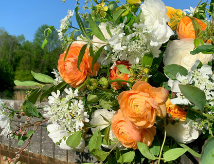 La Belle Champagne Ranunculus