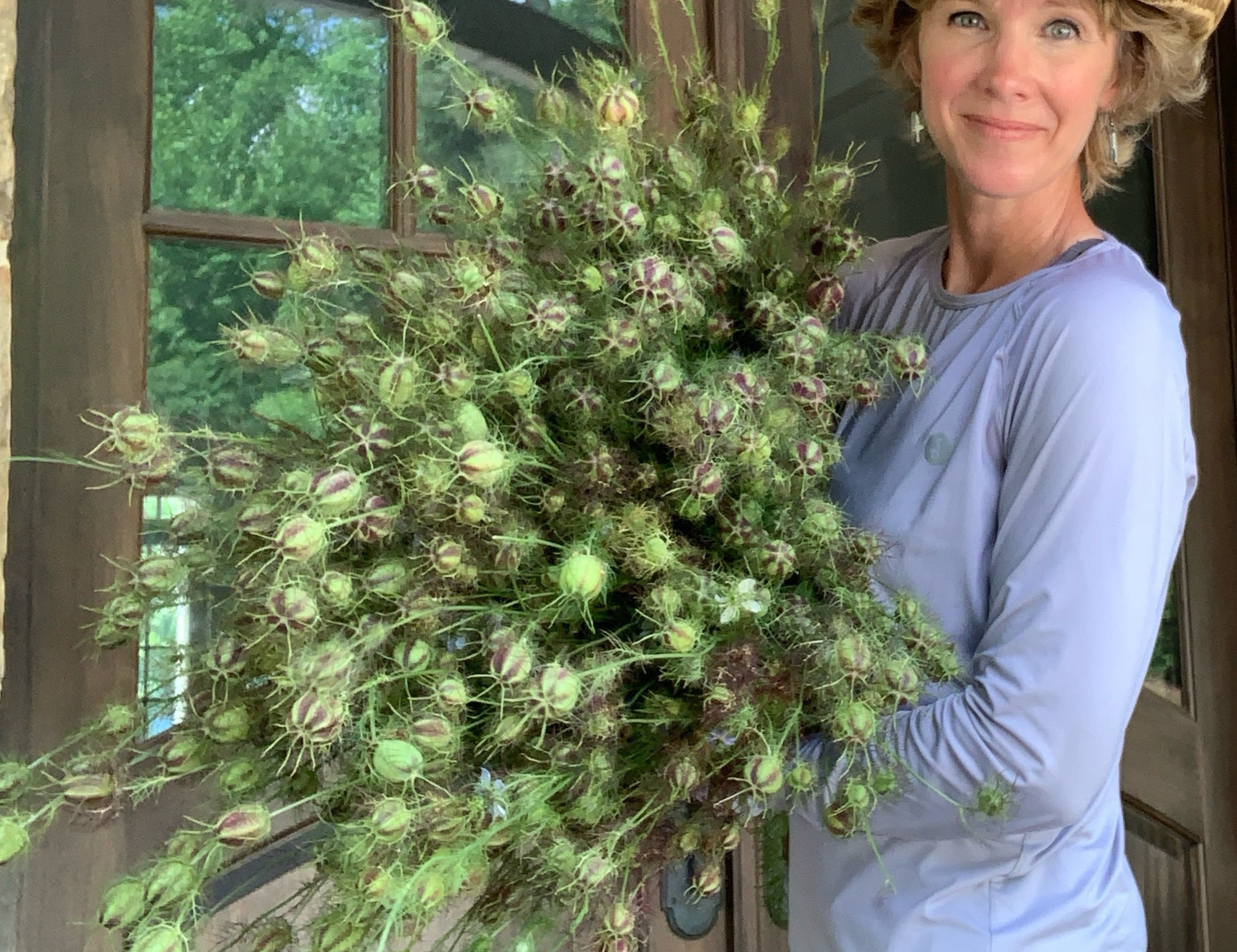 Love-in-a-Mist Green Pods
