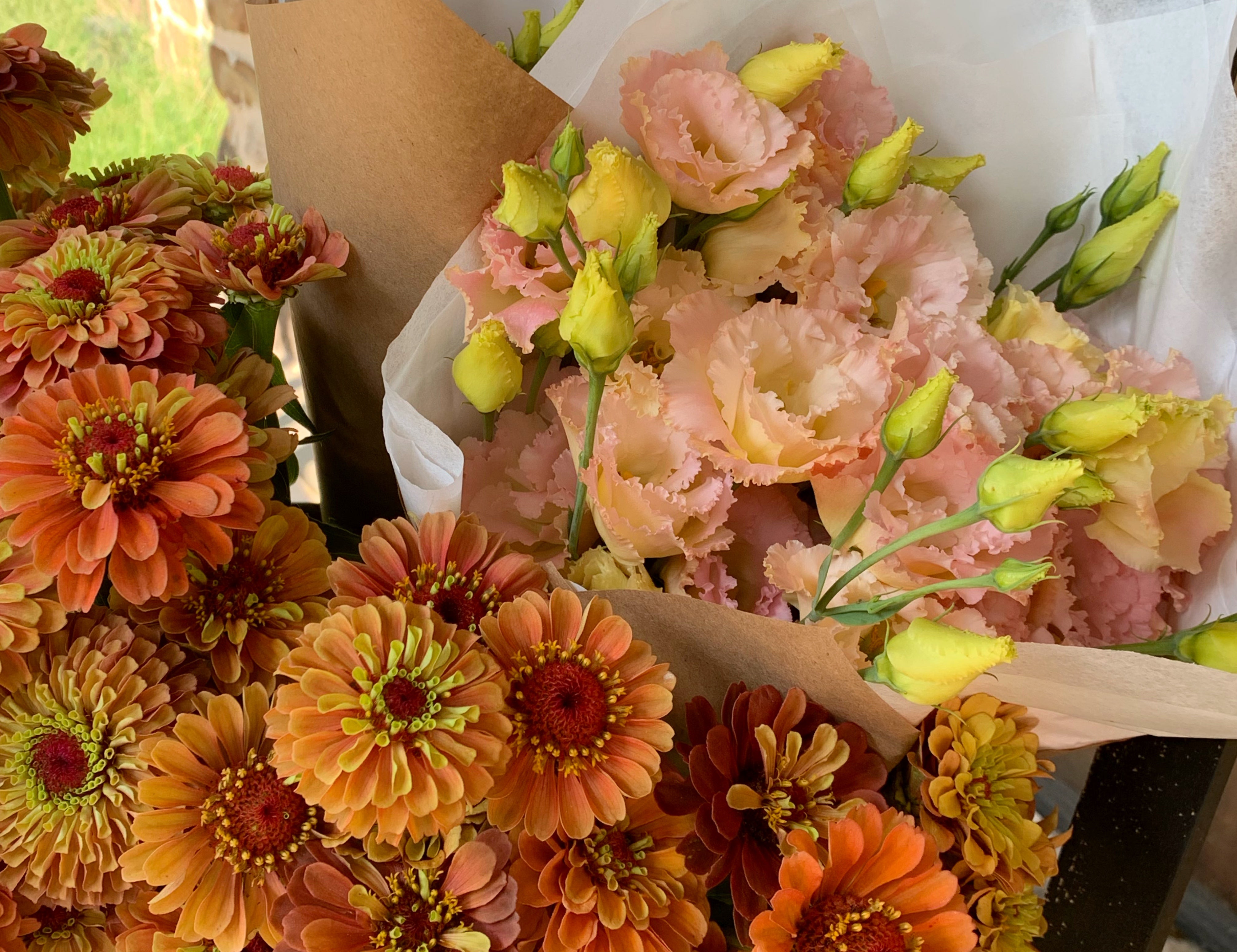 Apricot Voyage Lisianthus