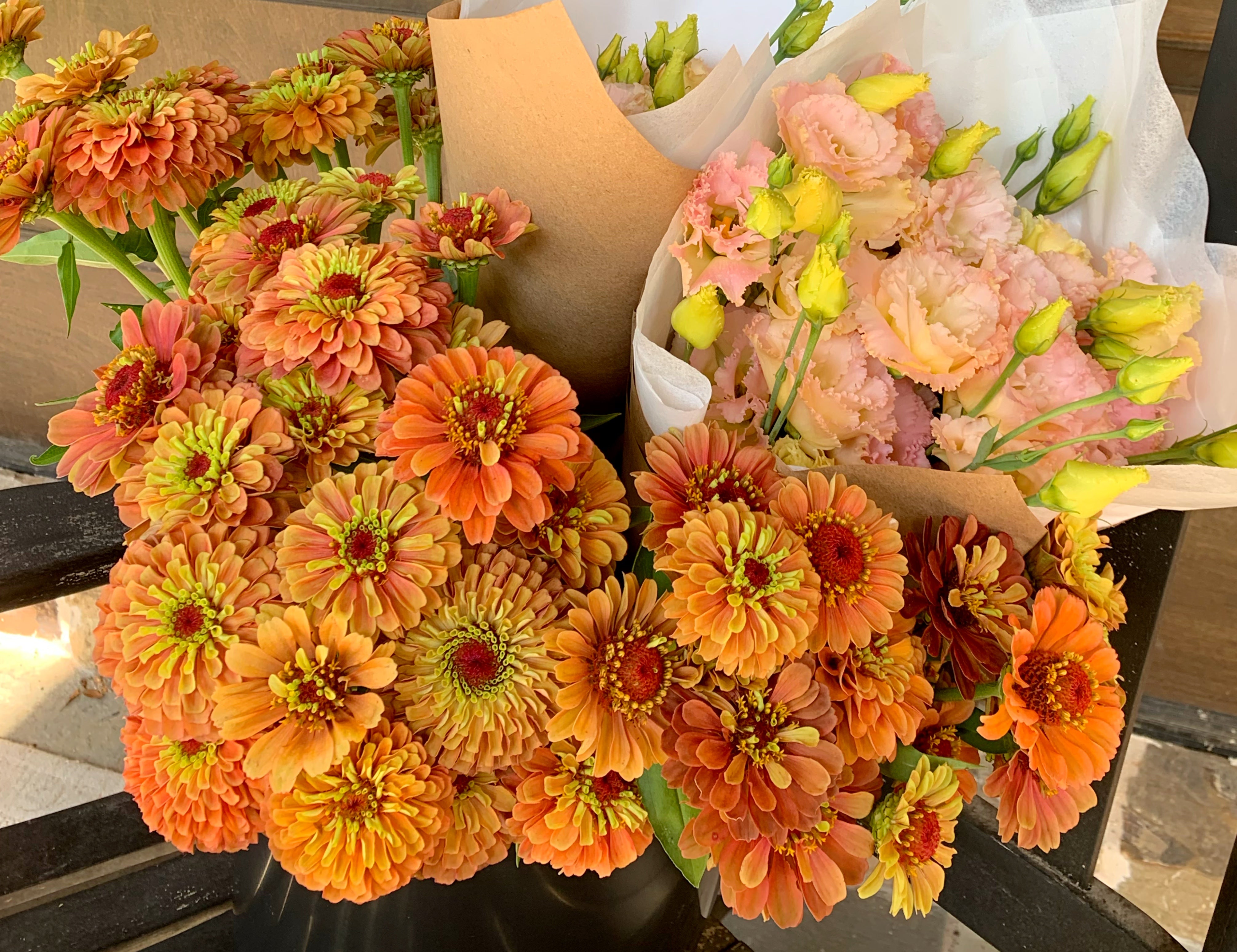 Queeny Lime Orange Zinnias